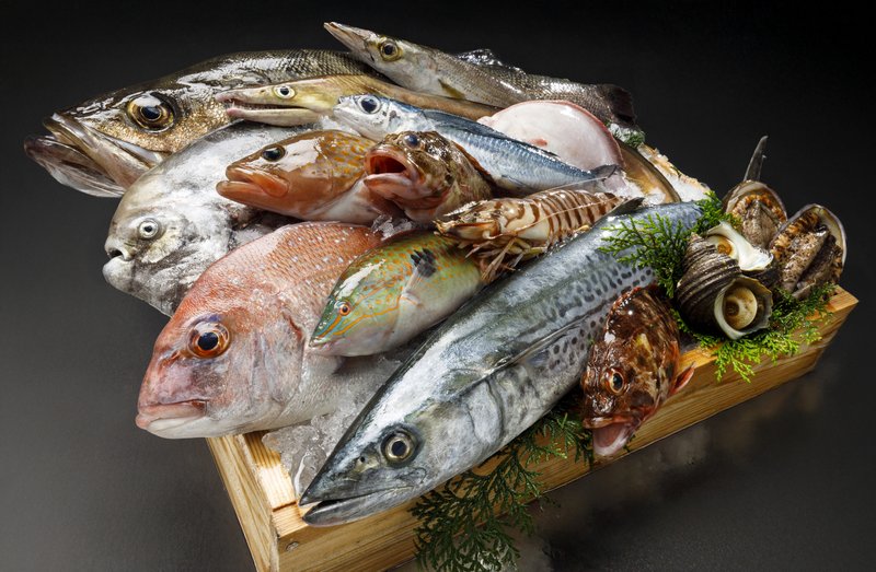 玉吉鮨 旬の鮮魚
