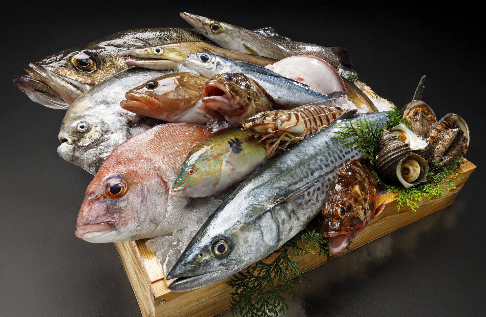 玉吉鮨 旬の鮮魚